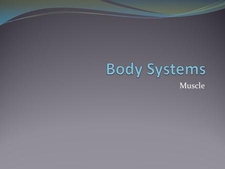 skeletal and muscular system powerpoint presentation