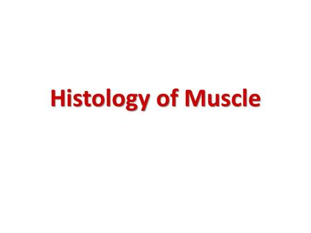 Histology of Muscle.