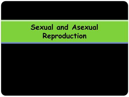 Sexual and Asexual Reproduction. Learning Outcomes By the end of this lesson, you should be able to:  Define asexual and sexual reproduction.  Describe.