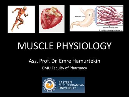 MUSCLE PHYSIOLOGY Ass. Prof. Dr. Emre Hamurtekin EMU Faculty of Pharmacy.