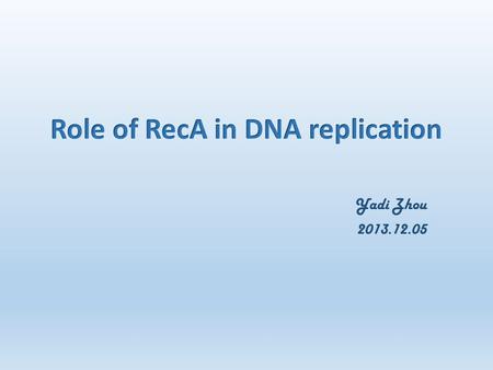 Yadi Zhou 2013.12.05. RecA protein 38 kiloDalton Essential for the repair and maintenance of DNA A RecA structural and functional homolog has been found.