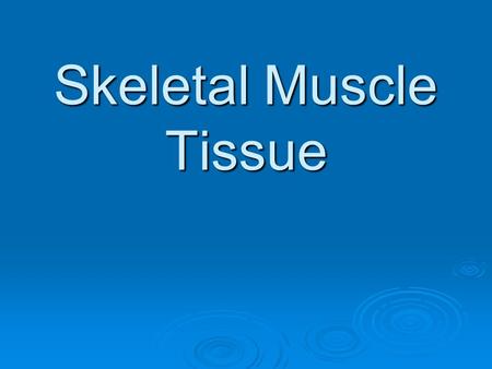 Skeletal Muscle Tissue