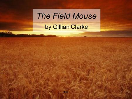 F/H The Field Mouse by Gillian Clarke. F/H The Field Mouse Summer, and the long grass is a snare drum. The air hums with jets. Down at the end of the.
