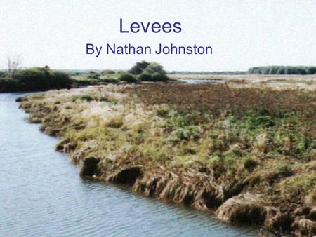 Levees By Nathan Johnston. What are levees? A levee is a type of dam that runs along the banks of a river or canal. Levees reinforce the banks and help.