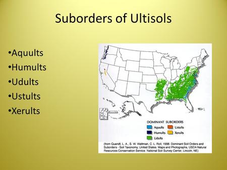 Suborders of Ultisols Aquults Humults Udults Ustults Xerults.