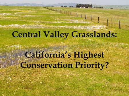 Central Valley Grasslands: California’s Highest Conservation Priority?