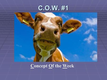 C.O.W. #1 Concept Of the Week. Noun  Our family is planning a vacation in the Rockies.  Person, place, thing, or idea.