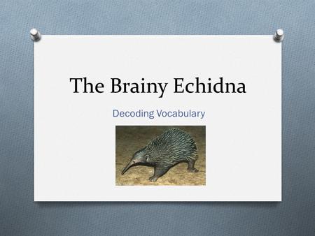 The Brainy Echidna Decoding Vocabulary. If you wanted to push yourself to the outermost chalk line of human endurance, you might consider an ultramarathon,