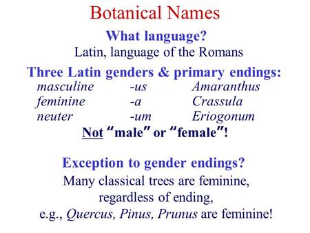 Botanical Names What language? Three Latin genders & primary endings: Many classical trees are feminine, regardless of ending, e.g., Quercus, Pinus, Prunus.