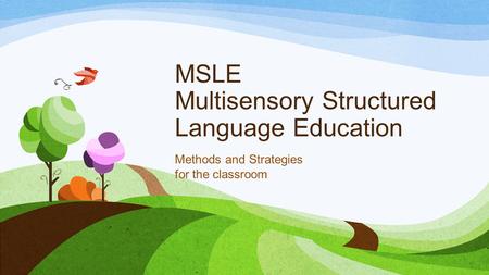 MSLE Multisensory Structured Language Education Methods and Strategies for the classroom.