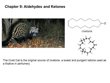 Chapter 9: Aldehydes and Ketones The Civet Cat is the original source of civetone, a sweet and pungent ketone used as a fixative in perfumery.