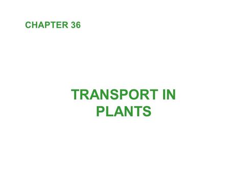 TRANSPORT IN PLANTS CHAPTER 36. The algal ancestors of plants were completely immersed in water and dissolved minerals. Terrestrial adaptation: - roots: