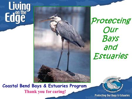 Coastal Bend Bays & Estuaries Program Protecting Our Bays and Estuaries Thank you for caring!