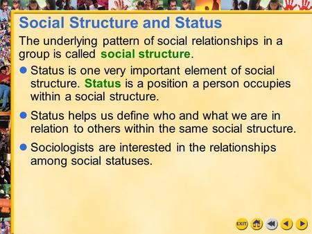 Social Structure and Status