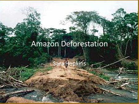 Sara Hopkins Amazon Deforestation. Impact on the environment The fires raging out of control in the Eastern Amazon state of Pará are a powerful symbol.