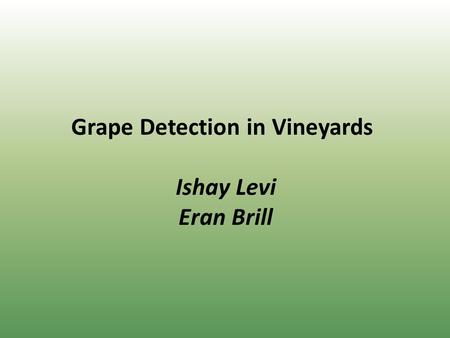 Grape Detection in Vineyards Ishay Levi Eran Brill.