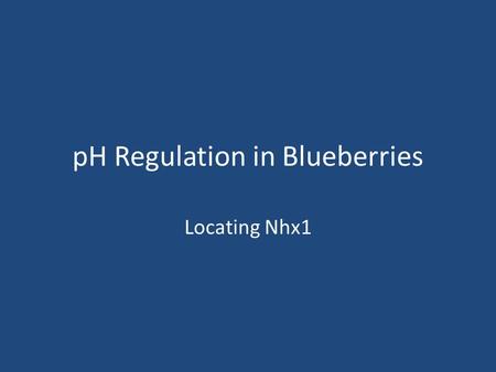 PH Regulation in Blueberries Locating Nhx1. Which proteins regulate pH? The Nhe or Nhx (Na/H exchanger) family of genes – Six known members of this family.