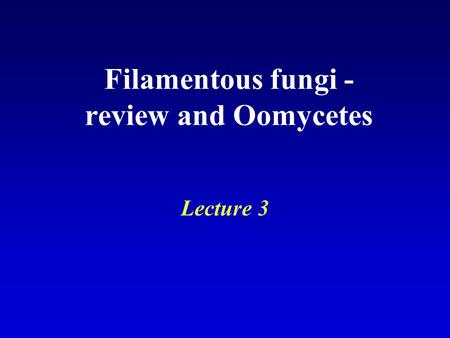Filamentous fungi - review and Oomycetes