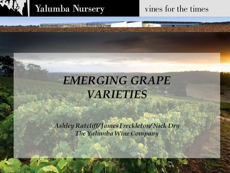 EMERGING GRAPE VARIETIES Ashley Ratcliff/ James Freckleton/ Nick Dry The Yalumba Wine Company.