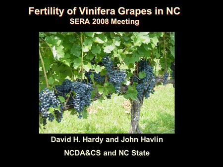 Fertility of Vinifera Grapes in NC SERA 2008 Meeting Fertility of Vinifera Grapes in NC SERA 2008 Meeting David H. Hardy and John Havlin NCDA&CS and NC.