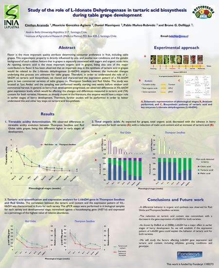 Study of the role of L-Idonate Dehydrogenase in tartaric acid biosynthesis during table grape development Cinthya Araneda 1, Mauricio González-Agüero 2,