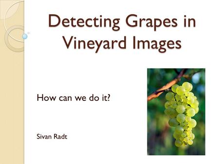 Detecting Grapes in Vineyard Images How can we do it? Sivan Radt.