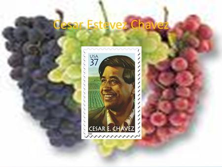 Cesar Estevez Chavez =. BIRTH Cesar was born on March 31, 1927. He was born in San Luis, Arizona. His family has lived there since his grandfather migrated.