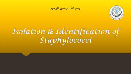 Isolation & Identification of Staphylococci