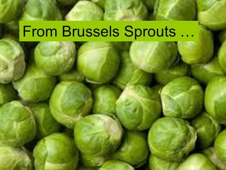 Naomi Ingram, University of Otago From Brussels Sprouts …