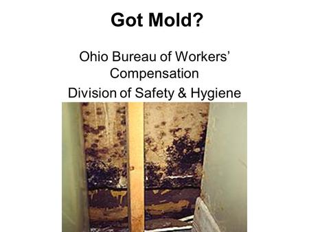 Got Mold? Ohio Bureau of Workers’ Compensation Division of Safety & Hygiene.