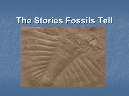 The Stories Fossils Tell
