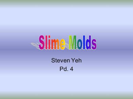 Steven Yeh Pd. 4. What Are They? 2 groups of protists –1. Plasmodial slime molds –2. Cellular Slime Molds Similar to fungi because of convergent evolution.
