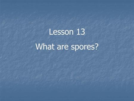 Lesson 13 What are spores?.