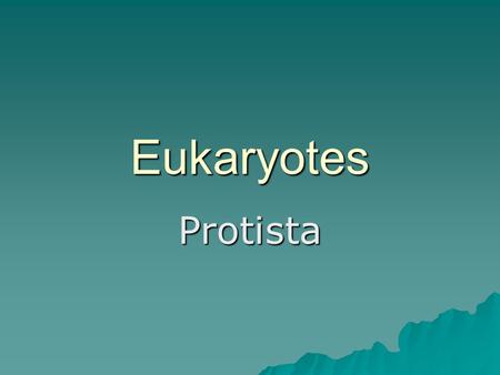 Eukaryotes Protista. What do Eukaryotes have that Prokaryotes do not?  Membrane-bound nucleus  Mitochondria, chloroplasts, and endomembrane system 