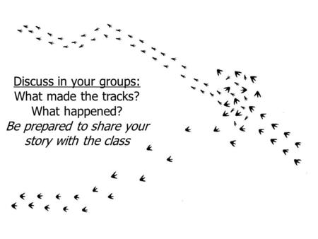 Discuss in your groups: What made the tracks? What happened? Be prepared to share your story with the class.