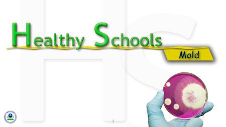 1. Family/Community Involvement Health Education Health Promotion for Staff Healthy School Environment Health Services Physical Education Counseling,
