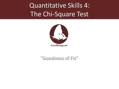 Quantitative Skills 4: The Chi-Square Test