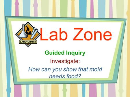 Guided Inquiry Investigate: How can you show that mold needs food?