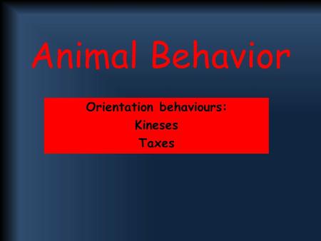 Orientation behaviours: Kineses Taxes