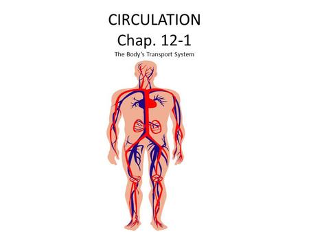CIRCULATION Chap. 12-1 The Body’s Transport System.