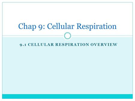 Chap 9: Cellular Respiration