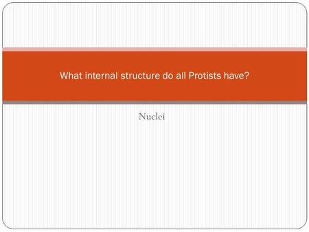 Nuclei What internal structure do all Protists have?