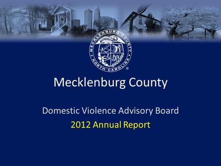 Mecklenburg County Domestic Violence Advisory Board 2012 Annual Report.