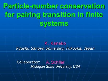 K. Kaneko Kyushu Sangyo University, Fukuoka, Japan Particle-number conservation for pairing transition in finite systems A. Schiller Michigan State University,