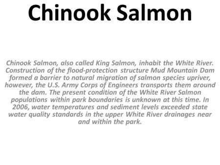 Chinook Salmon Chinook Salmon, also called King Salmon, inhabit the White River. Construction of the flood-protection structure Mud Mountain Dam formed.