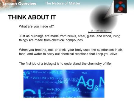 Lesson Overview Lesson Overview The Nature of Matter THINK ABOUT IT What are you made of? Just as buildings are made from bricks, steel, glass, and wood,