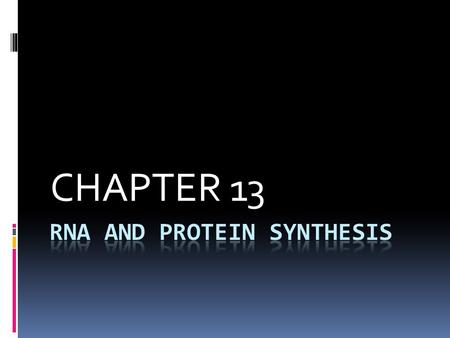 RNA and PROTEIN SYNTHESIS