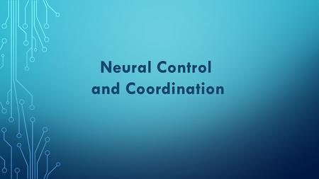 Neural Control and Coordination.