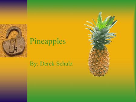 Pineapples By: Derek Schulz. General Information  Originated in South America  Scientific name “Ananas Cosmosus”  Rich in Vitamin C and Fiber  Helps.