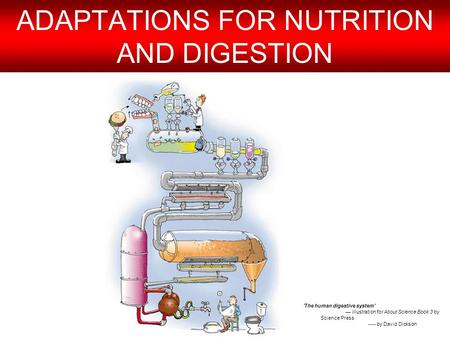 ADAPTATIONS FOR NUTRITION AND DIGESTION